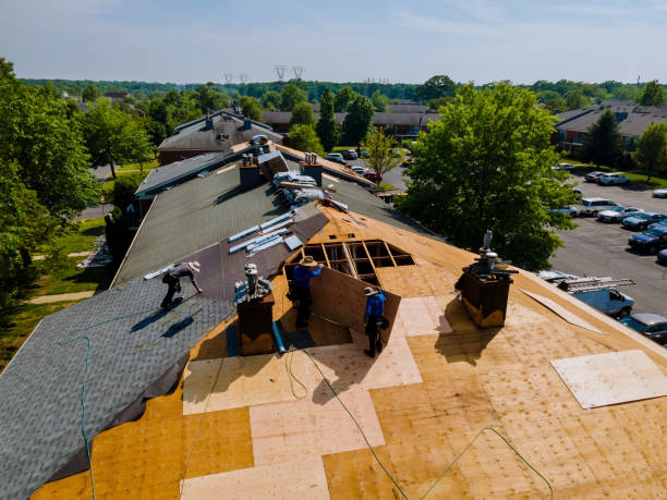 Best Storm Damage Roof Repair  in Long Creek, IL
