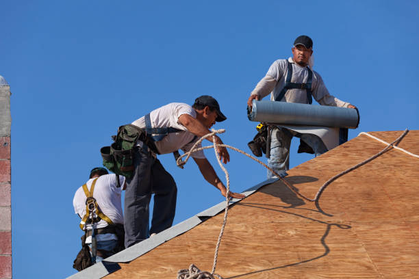 Professional Roofing Contractor in Long Creek, IL