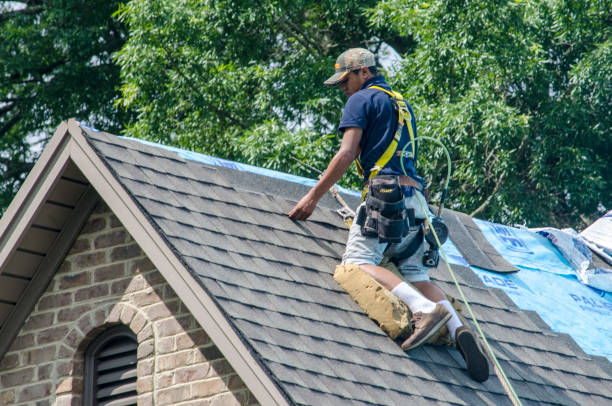 Best New Roof Installation  in Long Creek, IL